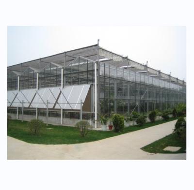 China Maximize Harvest Super Strong Resistance Multi Span Agricultural Greenhouses for sale