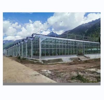 China 8m 9.6m 12m Span Width Multispan Greenhouse With Hydroponic System And Glass Structure for sale