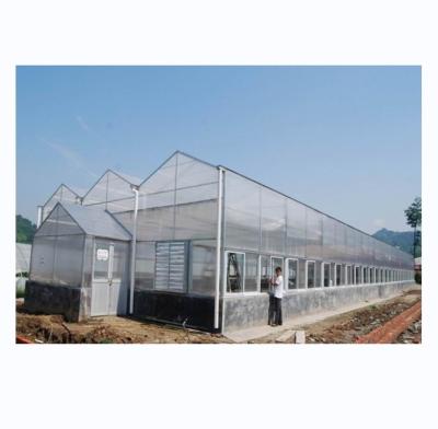 China Industrial Polycarbonate Sheet Greenhouses Ideal for Growing Vegetable Fruits Flowers for sale