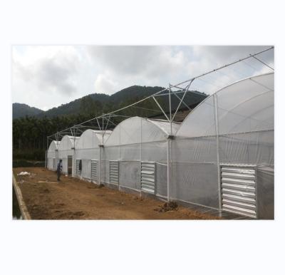 Китай 150/200 Микропокрытие ПЭ многоразовой пленки теплицы для выращивания томатов в сельском хозяйстве продается