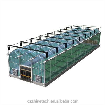 China Galvanized Steel Frame Glass Covered Agriculture Greenhouse with Installation Drawing for sale