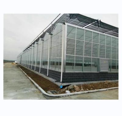 China Super Strong Resistance Venlo Glass Greenhouse for Commercial Agricultural Turnkey Project for sale