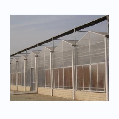 China 8mm PC Sheet Multi Span Agricultural Greenhouses For Sustainable Agriculture for sale