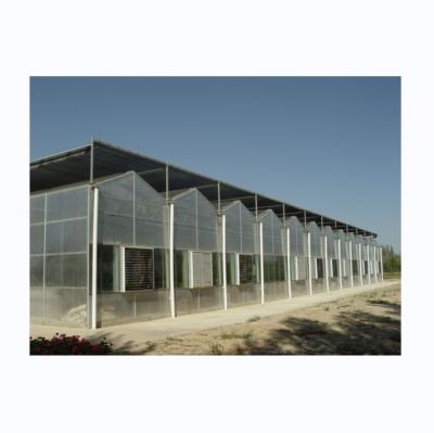 China Super Strong Resistance 8mm Polycarbonate Covering Multi-Span Greenhouse for Tomatoes for sale