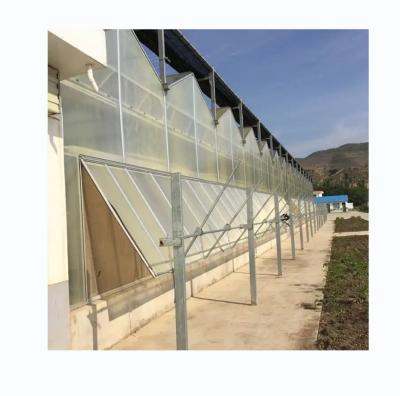 China Vegetable Fruits Flowers Multi Span Agricultural Greenhouses With Hydroponic Systems for sale