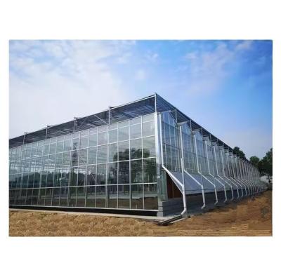 China Shine Tech Automated Greenhouse Glass House Instruction Super Strong Resistance for sale