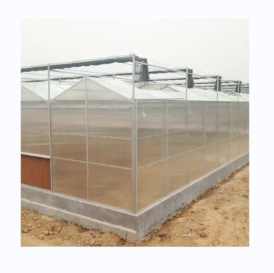 China Super Strong Resistance Polycarbonate Greenhouse Full Set for Commercial Agriculture for sale