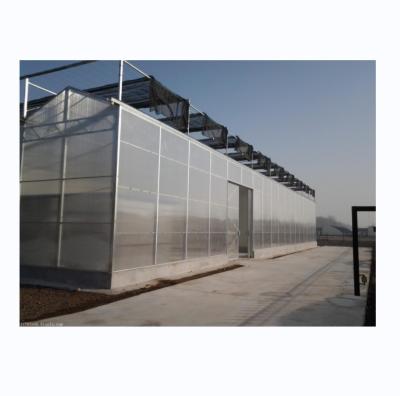 China PC Plastic Polycarbonate Sheet Multi Span Hydroponic Greenhouse for sale