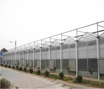 China Tomato Grow Agriculture Greenhouses Manufacturers in Venlo Style with PC Sheet Cover for sale
