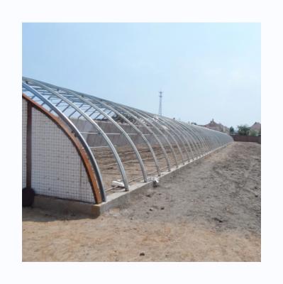 China Passive Solar Greenhouse Canadian Market Warm Greenhouse for Commercial Agriculture for sale