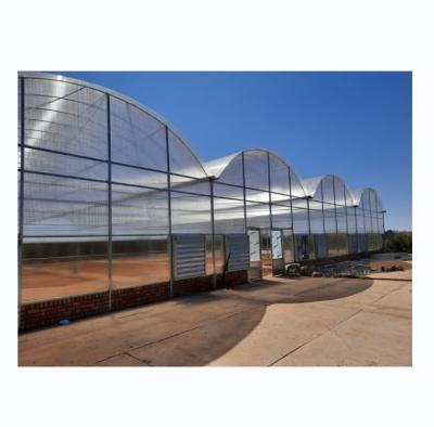 China Multi Span Commercial Agricultural Smart Venlo PC Greenhouse 4.0-8.0M Height for sale