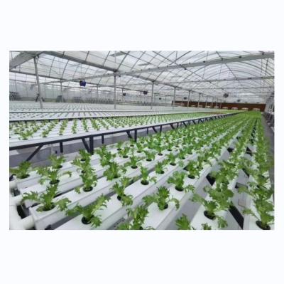 China Canal NFT de PVC de tipo horizontal para cultivo de vegetais folhosos hidropônicos de tamanho personalizado à venda