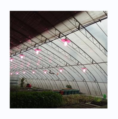 China Full Ventilated Film Covered Polyethylene Three Earth Wall Greenhouse for Winter Season for sale
