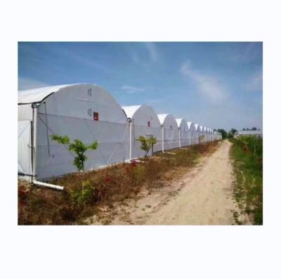 China 8m-12m Span Width Fully Automated Blackout Greenhouse For Superior Agriculture for sale