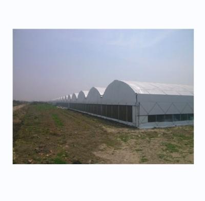China Hot Dip Galvanized Steel Frame Movable Bench Automated Light Deprivation Greenhouse for sale