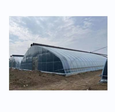 China PE Single Layer Solar Tunnel Agricultural Greenhouse 4-6M Height for sale
