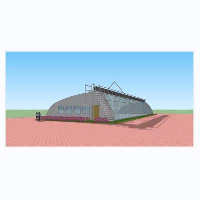 China 8m-16m Width PE Greenhouse for Winter Insulation Planting of Strawberries and Blanket for sale