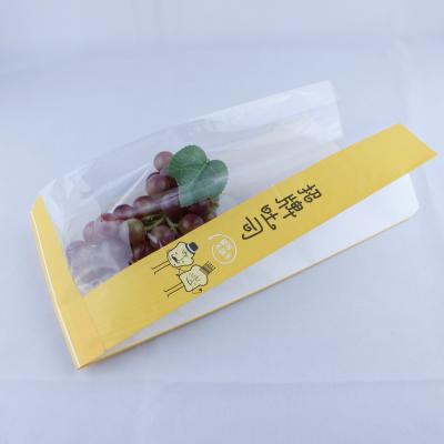 China Bolsas de tostadoras de bocadillos no adhesivos reciclables, caja de embalaje ligera para tostadas en venta