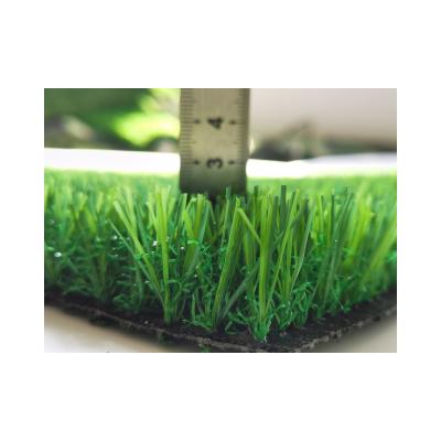 China 25mm Gym Artificial Turf Carpet 16cm 10cm Grass Seed Mat For Soccer for sale