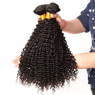 Chine Aucune armure non-traitée bouclée frisée brésilienne de cheveux de Vierge des cheveux 100% d'Afro acide à vendre
