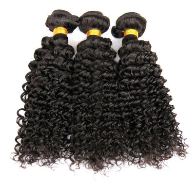 China 9A het natuurlijke Kroezige Krullende Haar bundelt de Dubbele Getrokken Inslag van Haaruitbreidingen Te koop