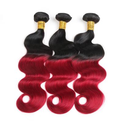 China Colored Ombre Hair Weave Body Wave Malaysian Hair Bundles Thick Hair Ends for sale