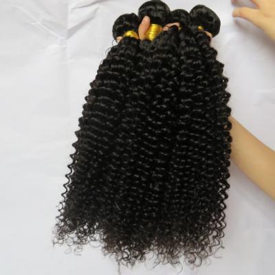 China Unprocessed Human Virgin Hair Afro Kinky Curly Pure Brazilian Hair Bundles Natural Color for sale