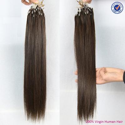Chine Prolongements micro de cheveux de boucle, agrafe d'humain de 100% dans des prolongements naturels de cheveux à vendre