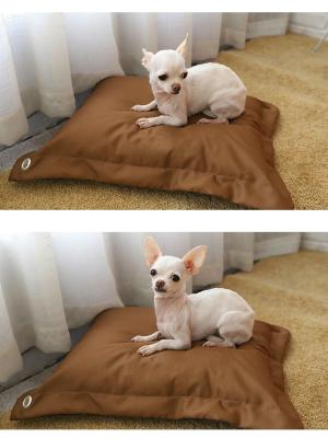China Pillow Shape Shredded Memory Foam Dog Bed with Waterproof Removable Washable Cover for sale