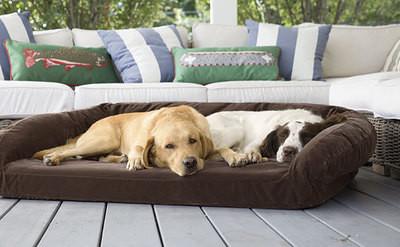China Luxury Suede Memory Foam Orthopedic Dog Bed , Non - Slip Bottom Orthopedic Egg Crate Dog Bed for sale