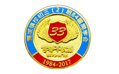 China Las insignias del Pin del esmalte de la forma irregular, Pin de metal Badges el grueso de 2m m apuesto en venta
