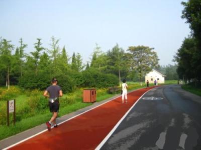 China Water Resistant Jogging Track Flooring , Thick Protective Soft Track Surfaces for sale