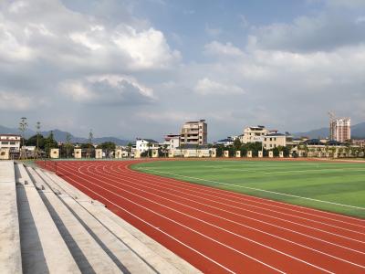 China Outdoor Plastic PU Sports Flooring For Running Track All Weather Cast for sale