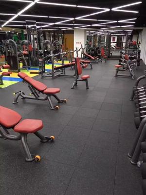 China SBR EPDM coloriu as telhas de borracha para o revestimento do Gym à venda