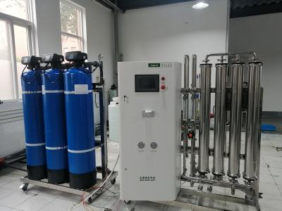 Cina SS304 500lph ha personalizzato la pianta di osmosi inversa dell'acqua del sistema del RO del singolo passaggio in vendita