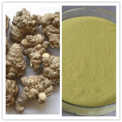 China Natural Sanqi / Sanchi Extract Sanchinoside Radix Notoginseng Extract for sale