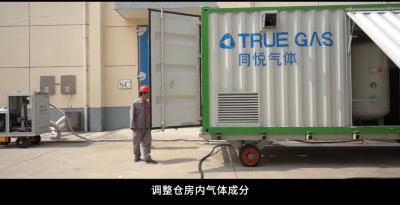 China Gerador móvel do gás do nitrogênio do patim do recipiente para o depósito da grão com pureza 99,5% do nitrogênio à venda