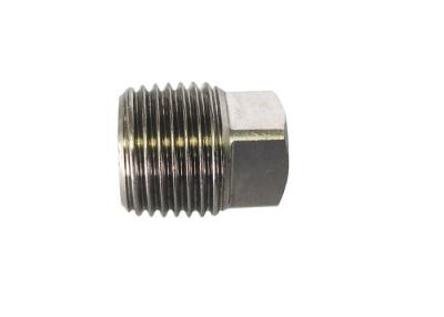 China Hydraulic SS316 BS21 DIN2999 Threaded Pipe Plug for sale