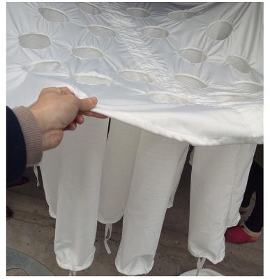 Cina Borsa a letto fluidizzato del granulatore della polvere di Spirulina/borsa dell'essiccaggio per polverizzazione polvere di Spirulina in vendita