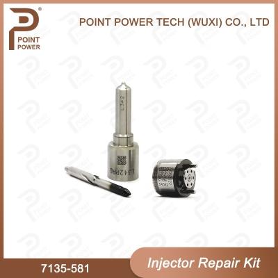 China 7135-581 Delphi Injector Repair Kit For R00101D PSA / FORD DW10C for sale