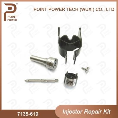 China 7135-619 Delphi Injector Repair Kit For Delphi Injectors Sangyong R04501d for sale