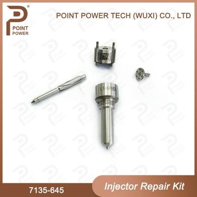 China 7135-645 Delphi Injector Repair Kit For Injectors R05201D WIth Common Rail Nozzle for sale