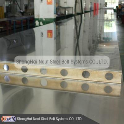 China Steel Composite Production Line Roller Chain Conveyor Belt Accessories for sale