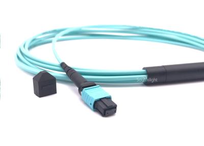 China 12 Fiber Fiber Optic Mpo To Mpo Patch Cable Jumper Apc Il 0.3db for sale