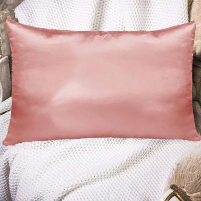 中国 毛、25mmの投球枕カバーのための純粋なクワ絹の美の枕カバー 販売のため