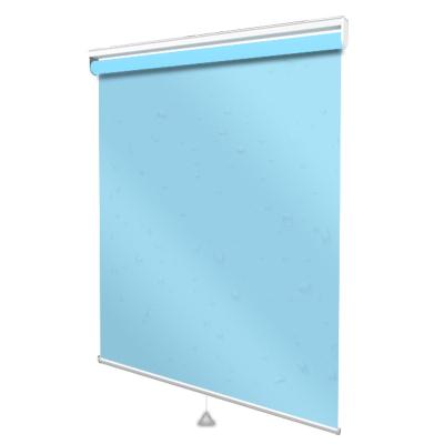 China Blackout Cordless Spring Loaded Sun Shade Roller Blinds for sale