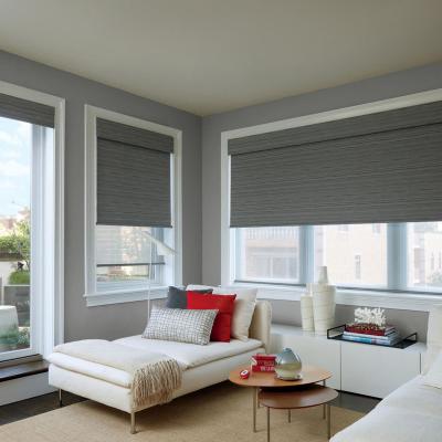 China Top Down Opening SGS Motorized Sun Shade Roller Blinds for sale