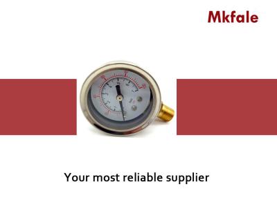 China SM2SB 40B / L Liquid Filled Water Pressure Gauge With Two Screwed Connection for sale