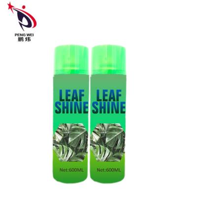 China 150g Indoor Plant Leaf Shine Spray Nontoxic Multipurpose Tin Bottle for sale