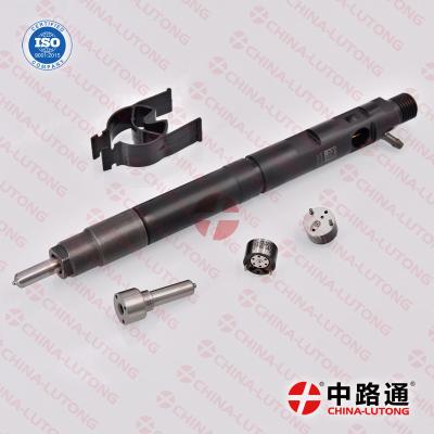 China High quality LJBB05502A 320/06838 Fuel CR Systems Fuel Injectors for delphi diesel injectors for sale  common rail fuel for sale
